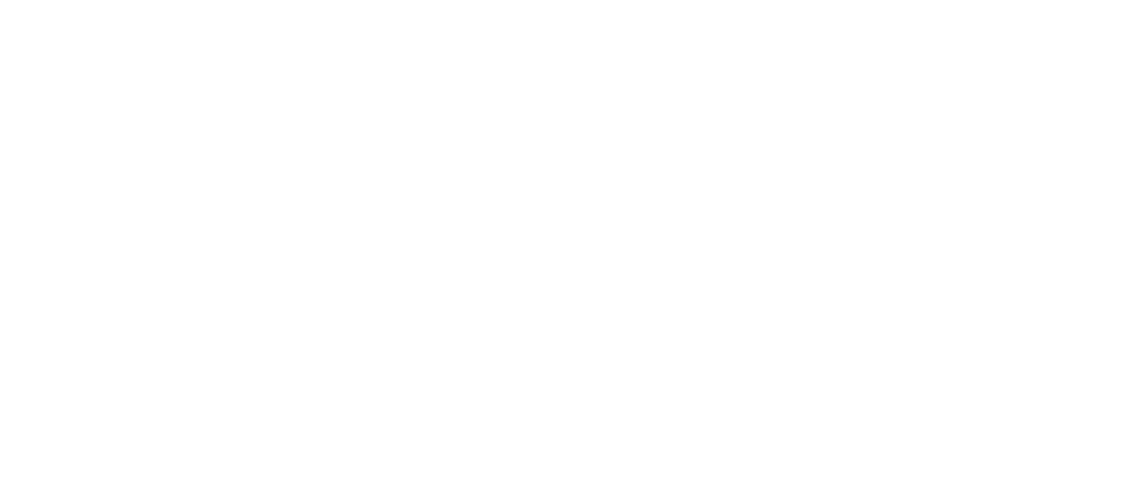 Ark-1